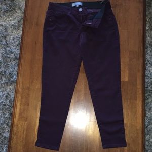 Wit & Wisdom Ankle Pants